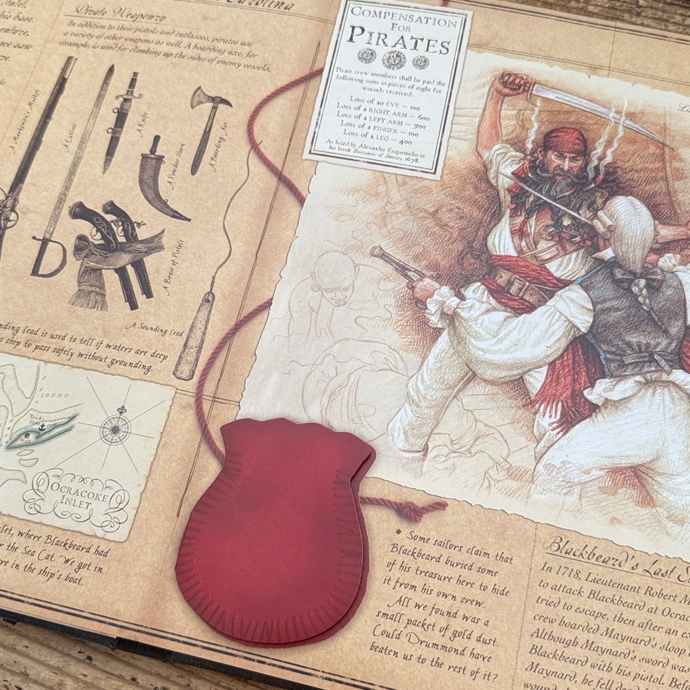 🏴‍☠️PIRATEOLOGY Interactive Book - Picture 12 of 17